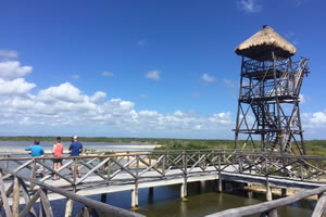 Cozumel Tour