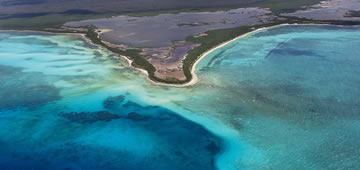 Tour Panorámico Riciera Maya saliendo de Playa del Carmen